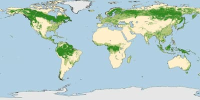 豪州の森林地図